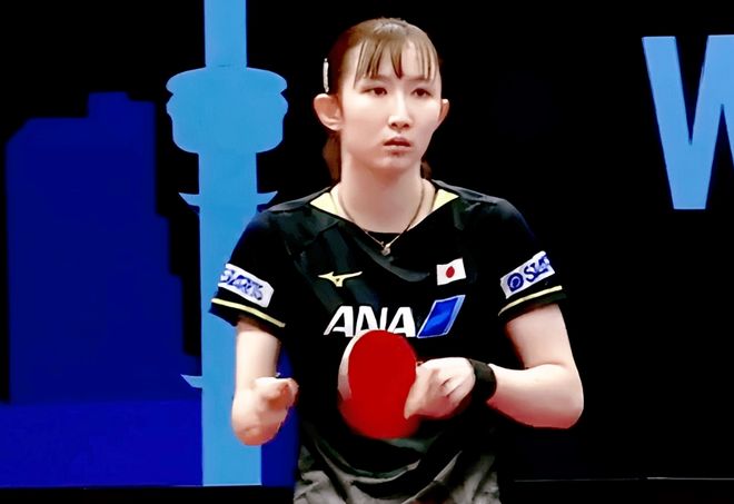 一个新的 一个新的