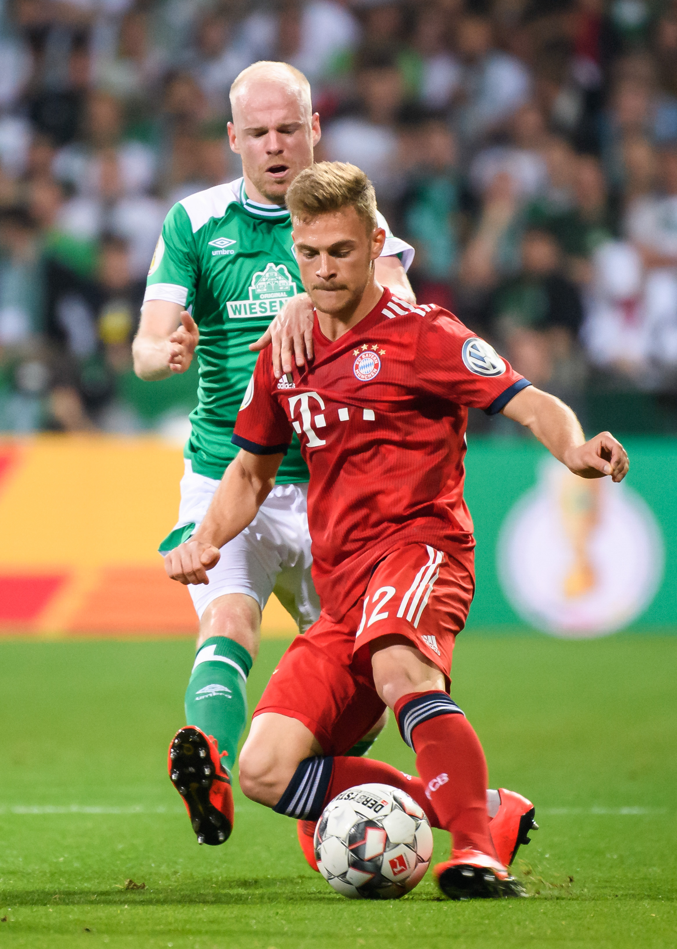 体和数字科 体和数字科